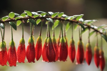 肇庆广宁7私人快速借钱网，轻松解决资金难题
