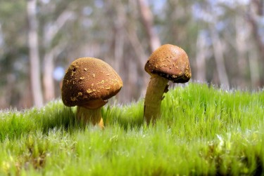 肇庆广宁7私人老板放款：轻松融资的秘密通道